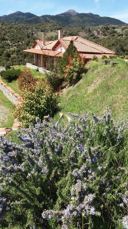 Agropoli Hotell Nimfasía Eksteriør bilde